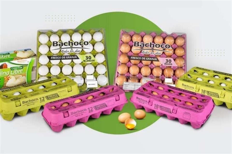 Los títulos de Bachoco llegaron a cotizar en 92 pesos, un nivel no visto desde abril de 2023.