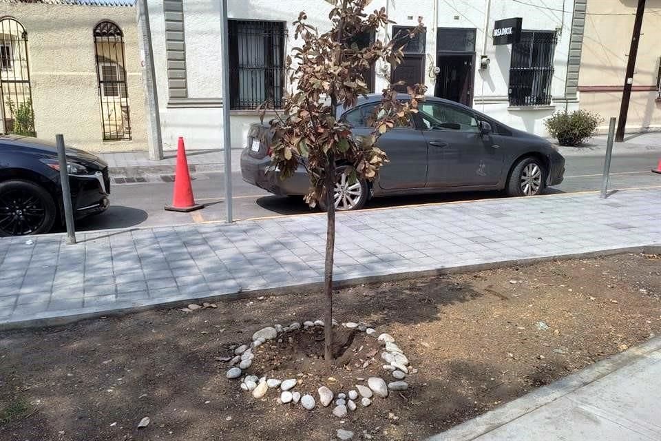 Sólo dos trabajadores fueron vistos ayer en las obras del Parque La Cuchilla, alrededor de las 14:00 horas.