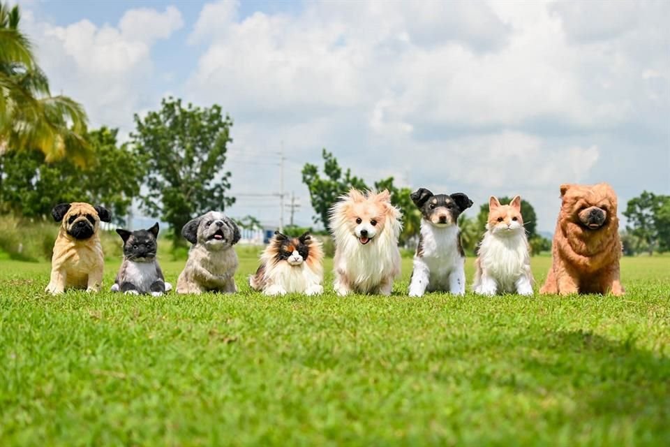 Mascotas como perros y gatos, entre otras especies, son recreados como animales de peluche realistas por una empresa ubicada en Filipinas.