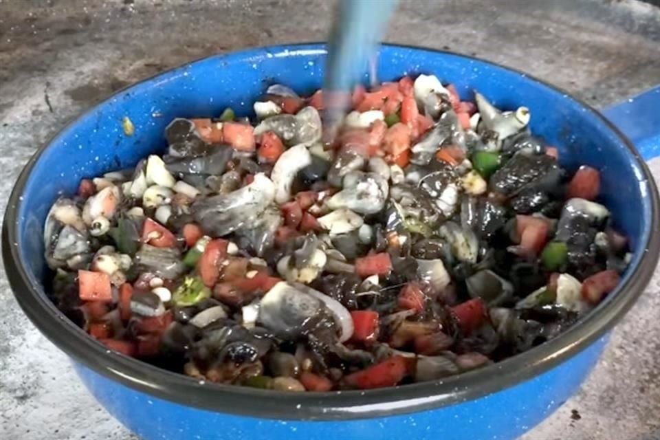 Su primer video fue el de Huitlacoche guisado en agosto del 2019.