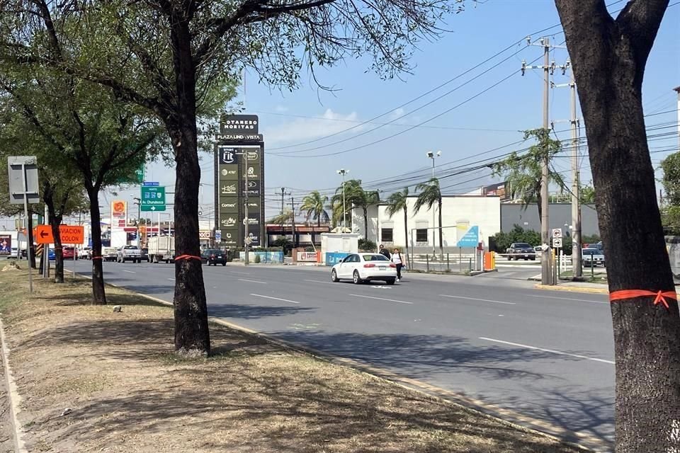 Personal del Estado puso listones rojos a los árboles que están en el trazo de la L6, en la Avenida Miguel Alemán.