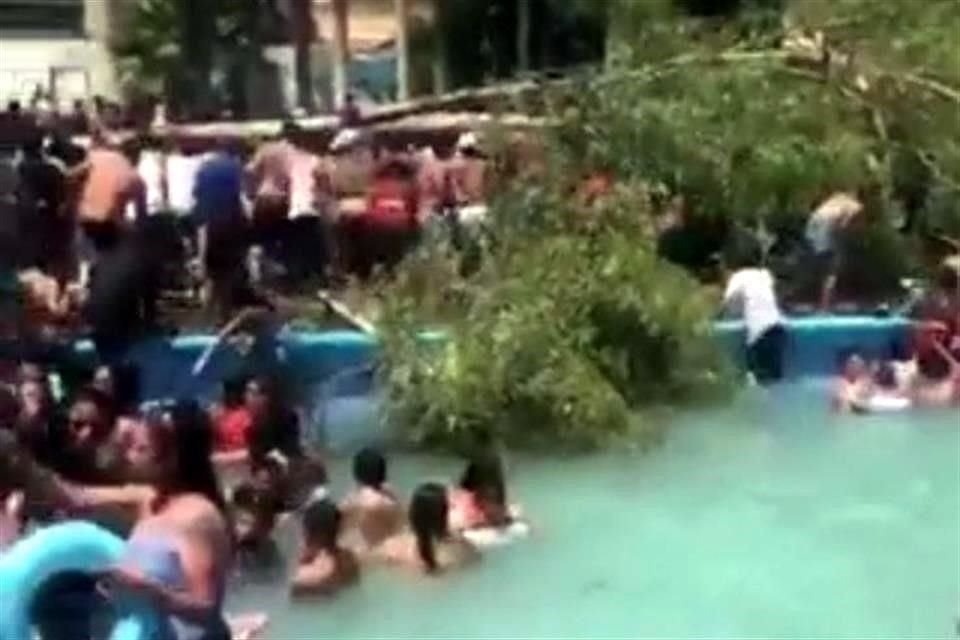 En el Municipio hubo fuertes vientos que provocaro la caída del árbol.