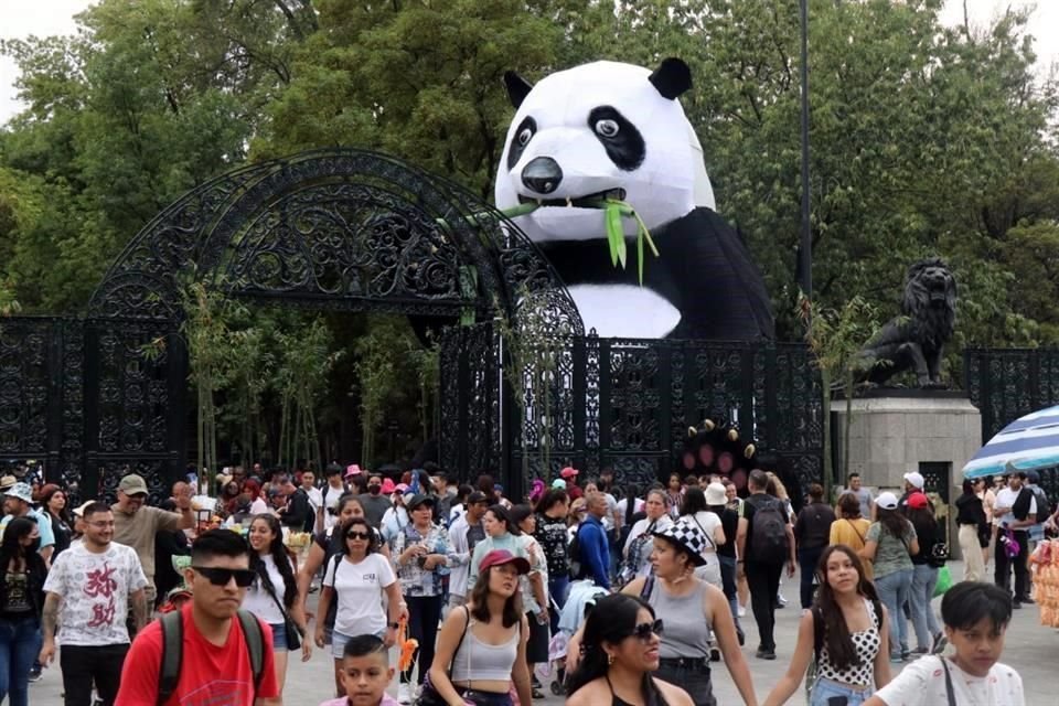 Capitalinos aprovecharon para conocer al panda gigante que custodia la Puerta de los Leones, en chapultepec, escultura en honor de Xin Xin.