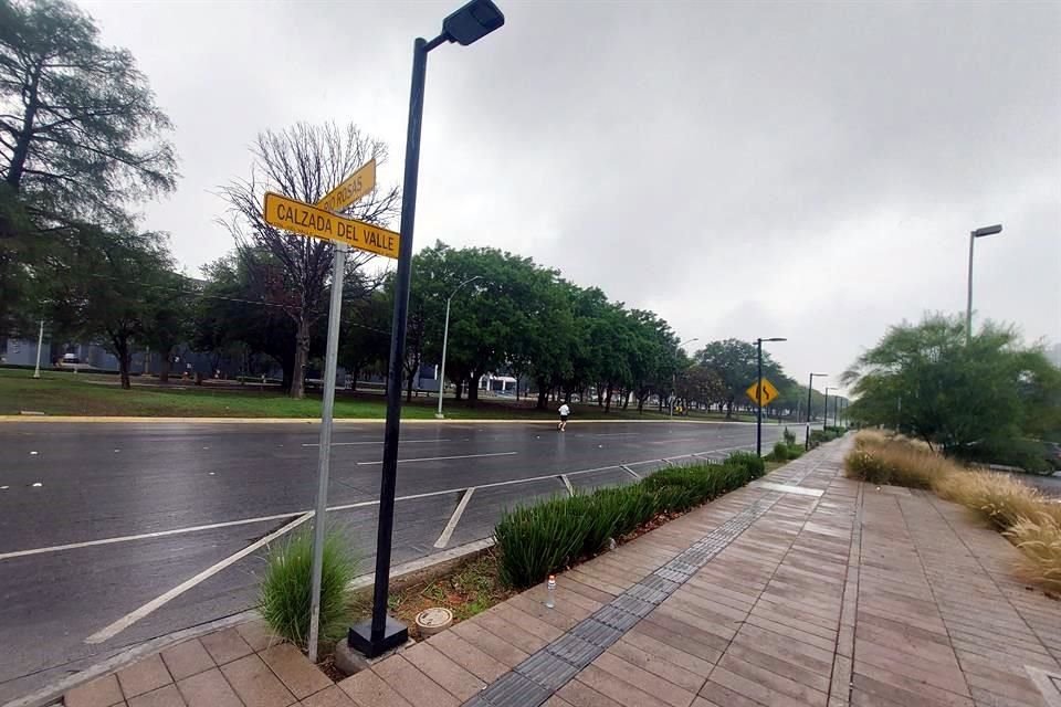 Carlos Alanís von der Meden, presidente de la Sociedad Mexicana de Arboricultura, señaló el caso de los sicomoros plantados en Calzada del Valle, en San Pedro, donde algunos ya fueron talados.