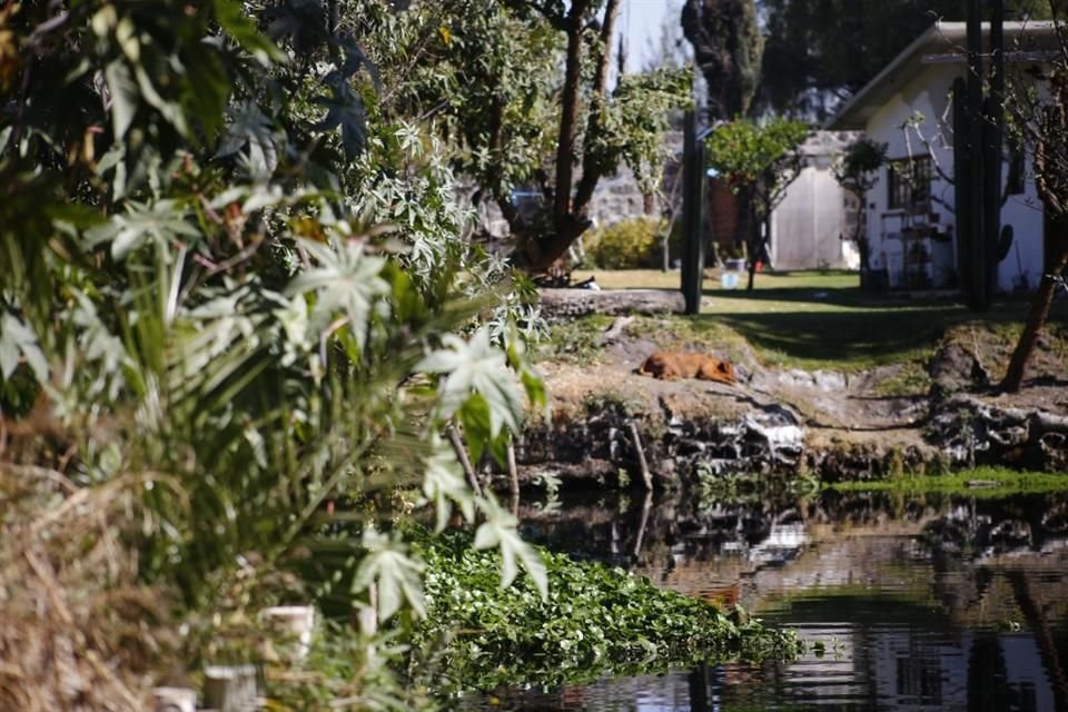 Vecinos del lugar han visto cómo son aprovechadas por habitantes para construir casas o cabañas, pese a que esas tierras deberían tener una vocación de cultivo y de conservación.