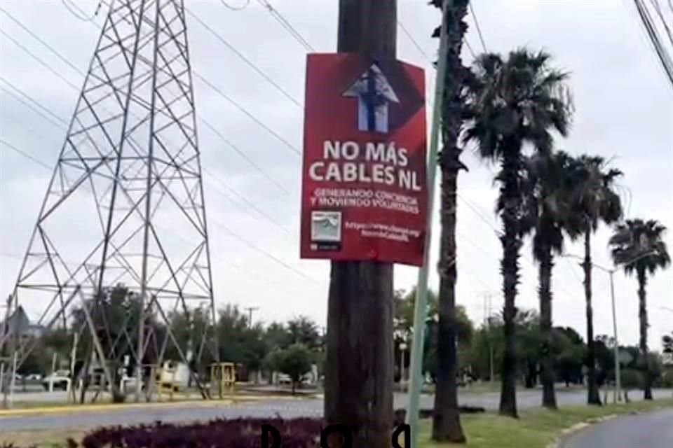 El grupo de vecinos combate las 'telarañas' en el sur la Ciudad.