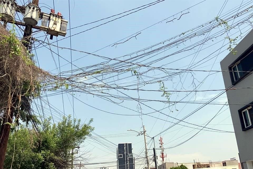 Mitras Centro, Monterrey.- El cableado está enredado en vegetación, en el cruce de las calles Reforma y Salamanca.