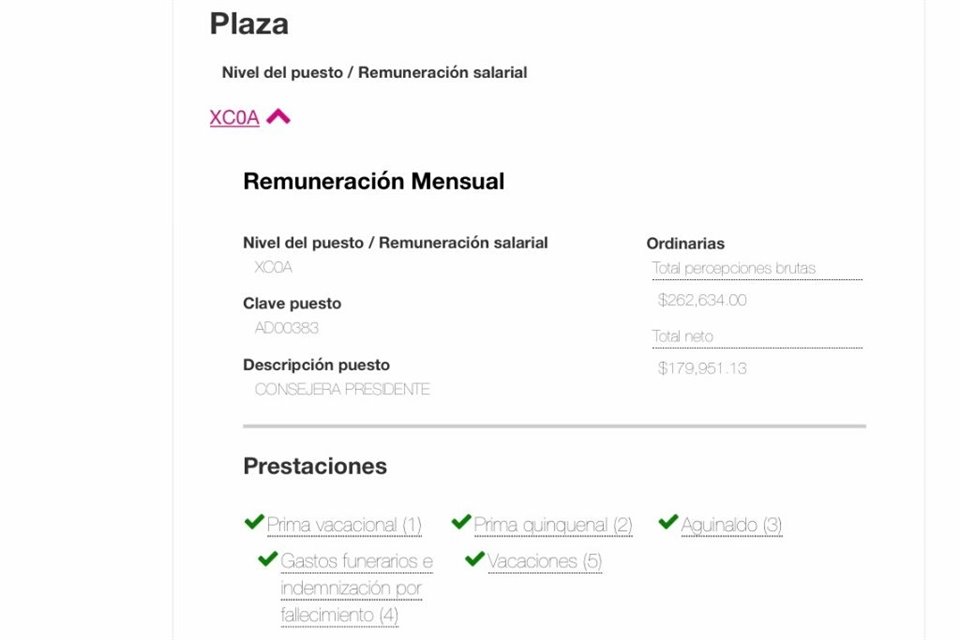 La funcionaria electoral pidió eliminar del directorio del Instituto sus datos sobre salario y prestaciones, mientras determina el porcentaje al que renunciará.