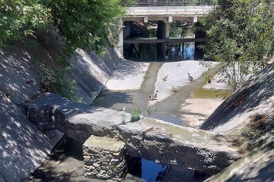 Las aguas negras continuaban ayer afectando el cauce del arroyo, sin que el Municipio conociera la causa de la afectación.