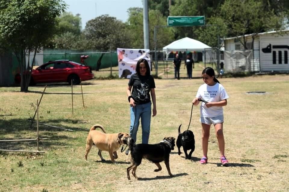 Con motivo del Día de la Niñez, el Centro de Transferencia Canina abrió sus puertas para promover la adopción.