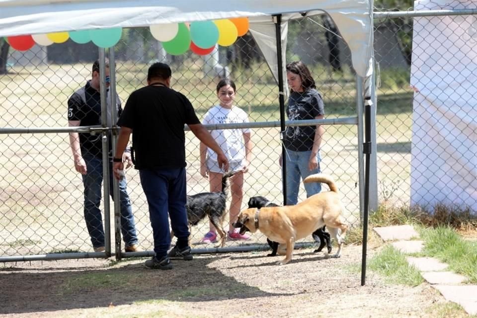 El Centro de Transferencia Canina del Sistema Colectivo Metro promovió la adopción canina en un evento por el Día de la Niñez.