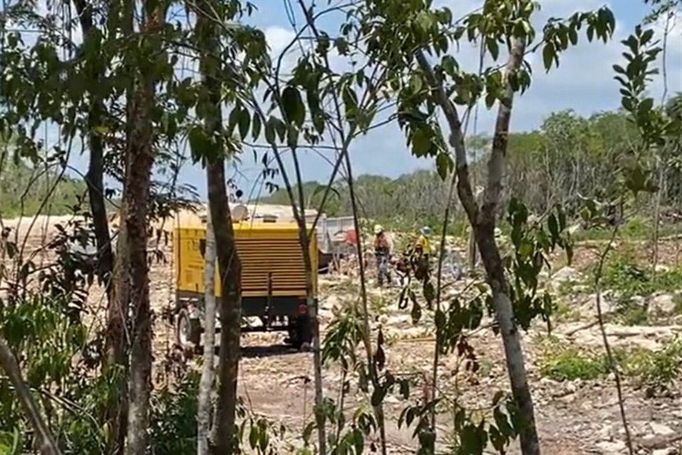 Vigilante en Tramo 5 del Tren Maya amenazó a activistas mexicanos con llamar a Migración luego que intentaran constatar afectaciones en la zona; 'son falsos', acusó AMLO