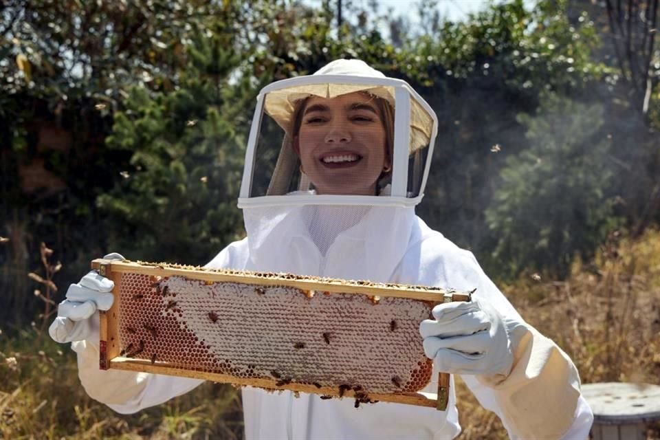 A propósito del Día Mundial de las Abejas, que se festeja el 20 de mayo, conviértete en apicultor en esta nueva experiencia en la CDMX.