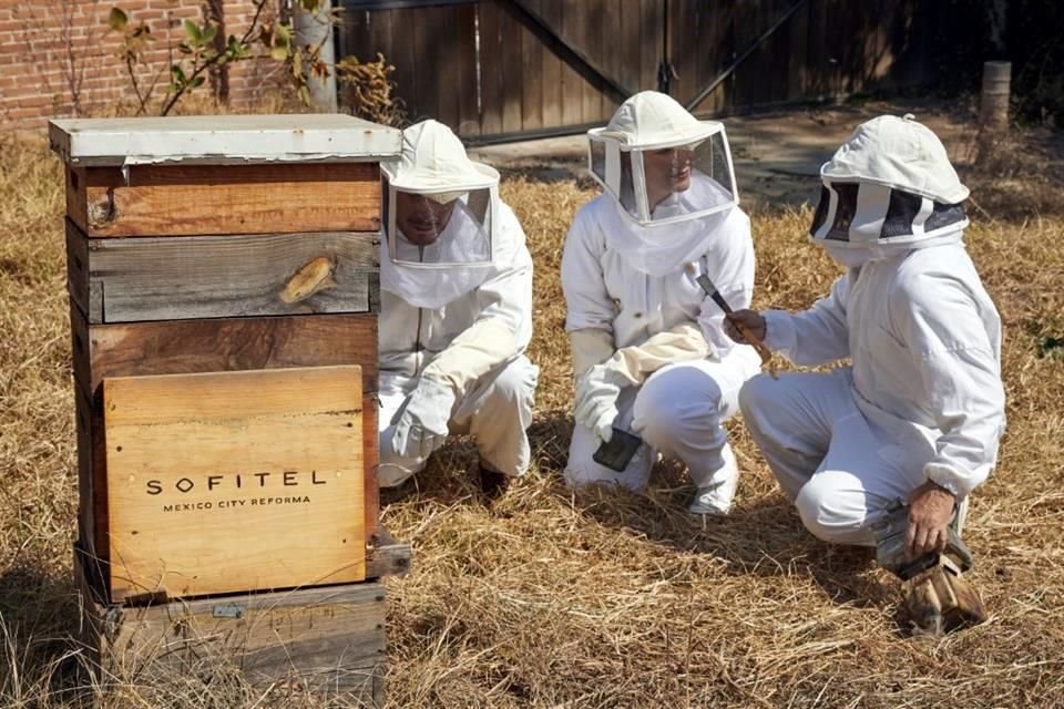 En el apiario, es necesario rociar humo a las abejas para evitar posibles ataques a los asistentes.