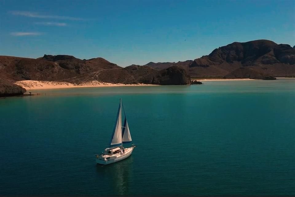 WTTC estimó que este año, el turismo en México registrará un crecimiento del 2.5 por ciento en ingresos, en comparación con 2024 y, pese a la incertidumbre económica, mantendrá un buen ritmo de crecimiento.