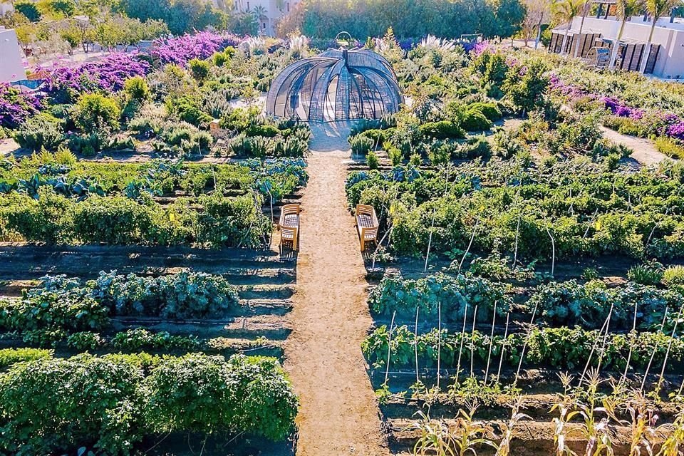 Cuenta con granjas de fresas, hierbas, verduras y chile.