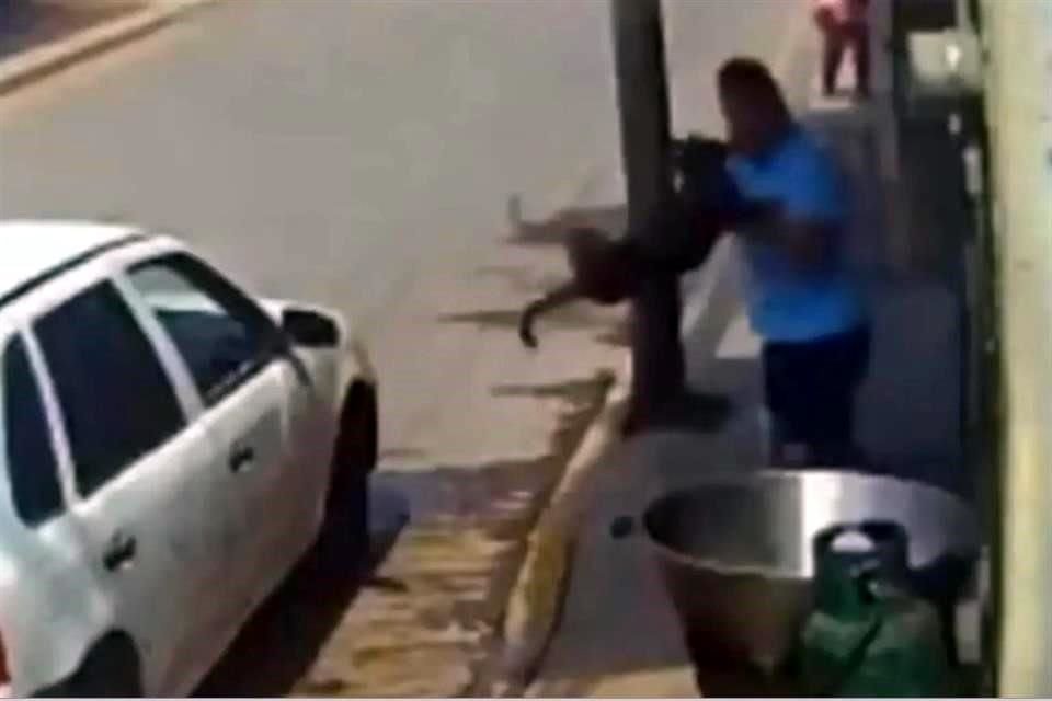 El video donde un hombre lanza a un perro a un cazo con aceite hirviendo en Tecámac, Edomex, fue difundido en redes sociales.