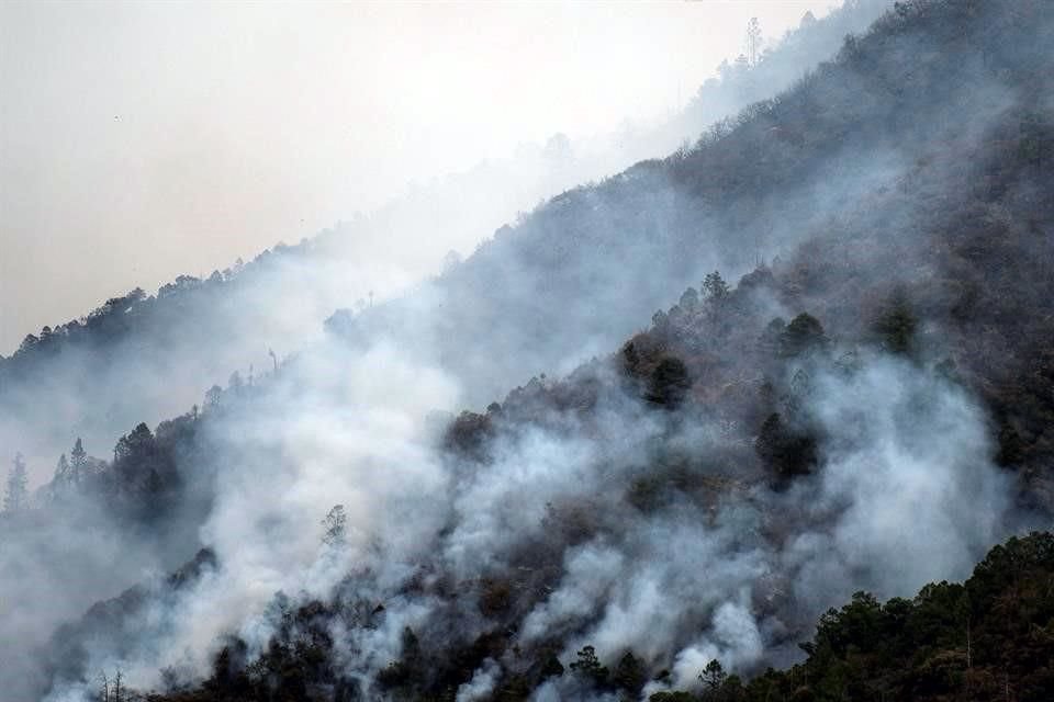 Se estima que el incendio en la Sierra de Arteaga está 90% bajo control y liquidado en un 85%.