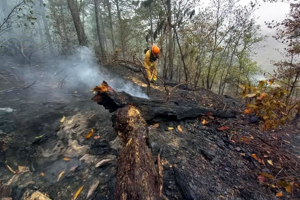 Protección Civil del Estado aseguró que el incendio en la sierra de Santiago está completamente controlado.