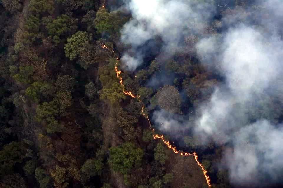 Hasta las 21:00 horas del viernes, el incendio se mantenía activo, aunque ya se habían controlado tres de cinco frentes de ataque.