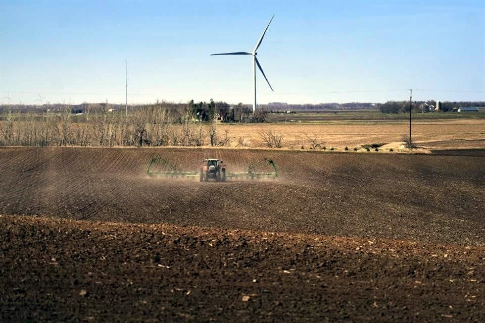 EU llamó a consultas de resolución por las disputas con México por las medidas del País contra el maíz transgénico.