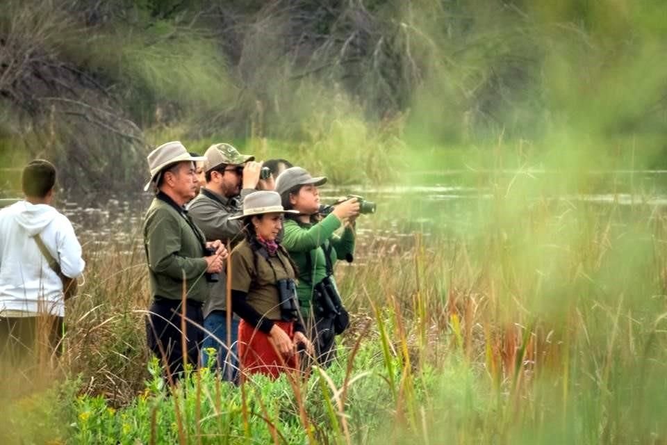Un particular logró recuperar del olvido riqueza de humedal ubicado en Linares.