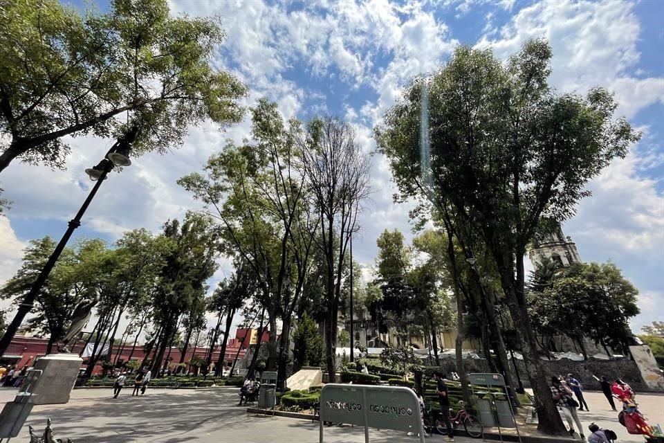 El proyecto vecinal ganador para vegetar los jardines Centenario e Hidalgo en Coyoacán sigue sin concretarse, pese a tener el recurso.