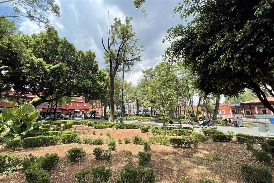 Un proyecto vecinal de Presupuesto Participativo para sembrar árboles en los jardines Centenario e Hidalgo está estancado.