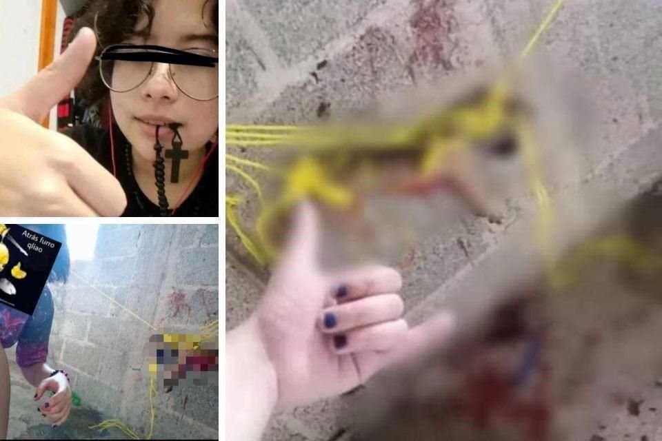 Usuarios en redes exigen que la menor sea localizada y castigada por maltrato animal.