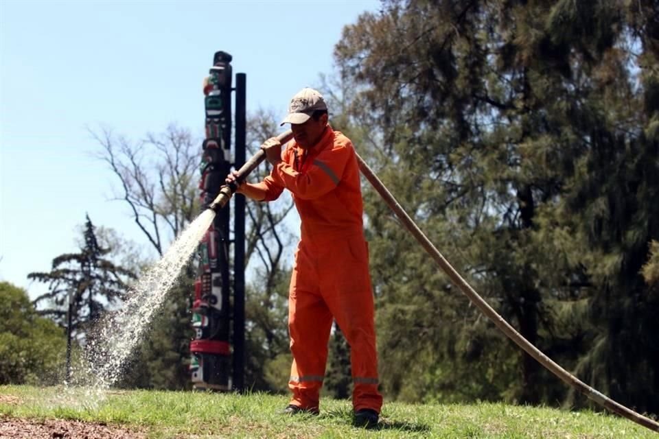 Para hacer frente a sequía, Bosque de Chapultepec habilitó un sistema de riego y así evitar que los prados del Tótem Canadiense se sequen.