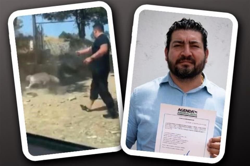 Joel Zárate aparece disparando a un perro en Tlaxcala, y luego, con la cara llena de sangre junto a su hermano Juan Zárate, ex candidato municipal del PVEM.