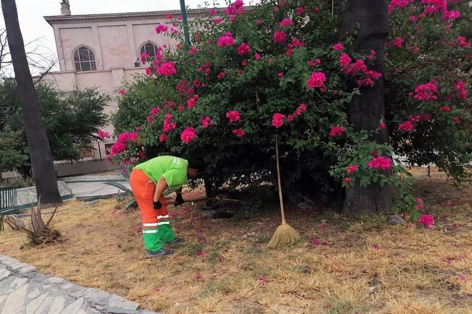 Tras denunciarse el abandono y acumulación de basura en la Plaza del Roble, en el Centro, el Municipio de Monterrey arranca limpieza.