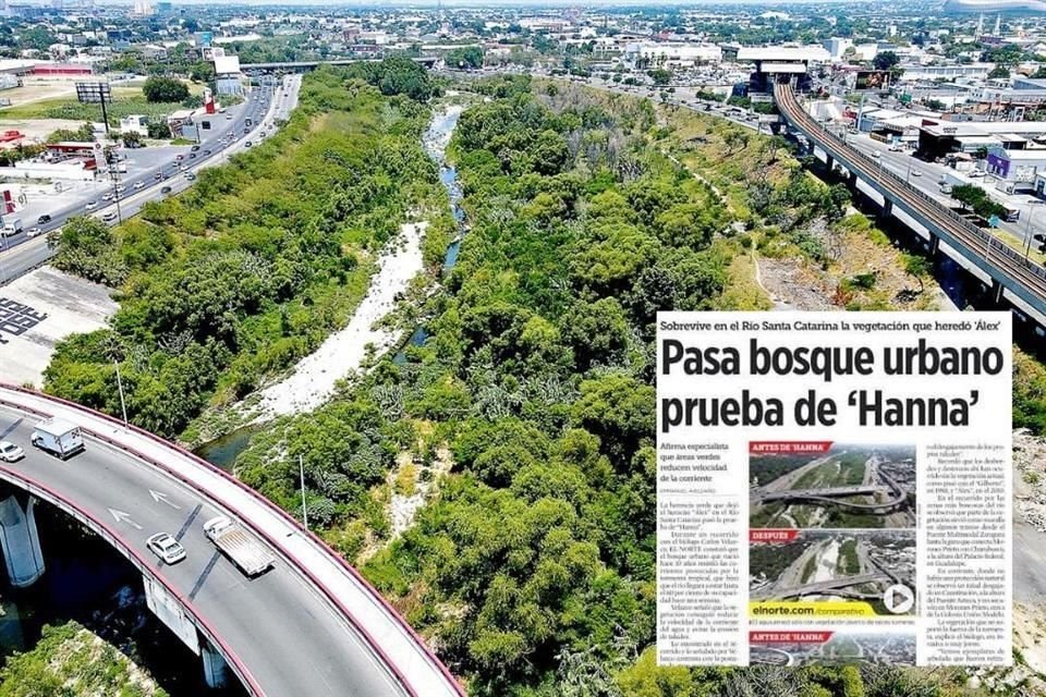 En varios tramos, el Río Santa Catarina es un bosque urbano, como entre las avenidas Churubusco y Corregidora, en Guadalupe, pero autoridades alertan de obstrucción y riesgos.