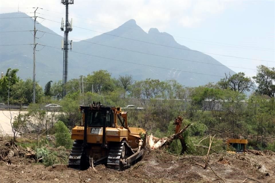 Troncos de árboles derribados fueron apilados en varios puntos del lecho del Río.