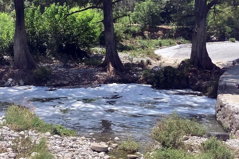 En al menos tres secciones de un tramo de poco más de un kilómetro en el Río La Silla ubican agua jabonosa y peces muertos.