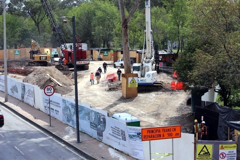 La Sedema autorizó que 451 árboles del Bosque de Chapultepec fueran impactados por las obras del Cablebús; la mayoría, 361, serán trasplantados.