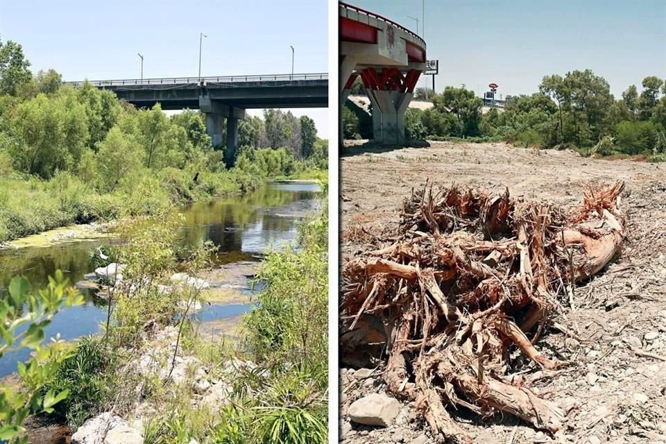 Tras el desmonte masivo, el Río Santa Catarina presenta dos caras: un cauce boscoso y lleno de fauna, y un tramo seco y devastado.