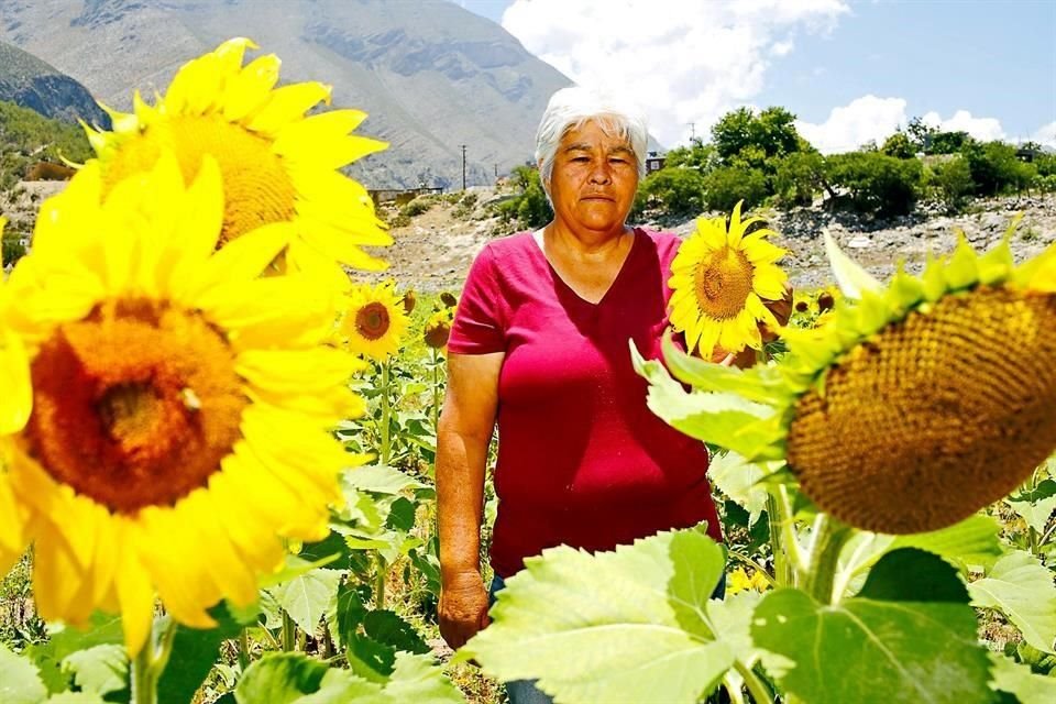 Zobeida Torres.
