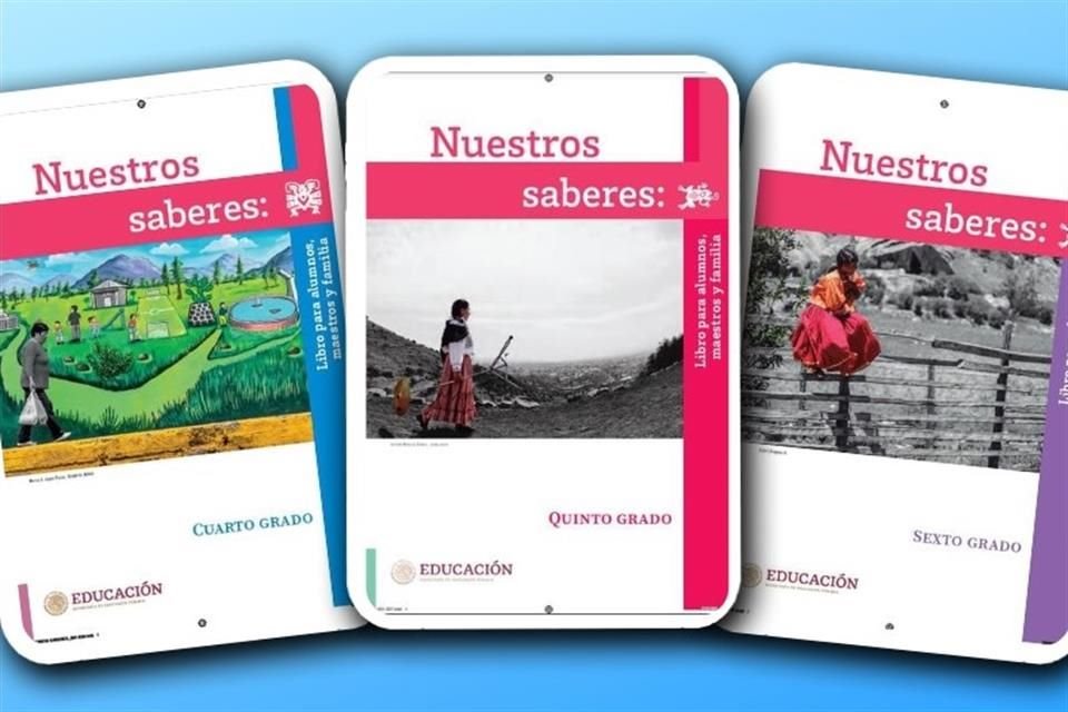 Como primer señalamiento que les preocupa sobre los ejemplares, los expertos indicaron que se rompe con el modelo educativo tradicional por tacharlo de 'neoliberal'.