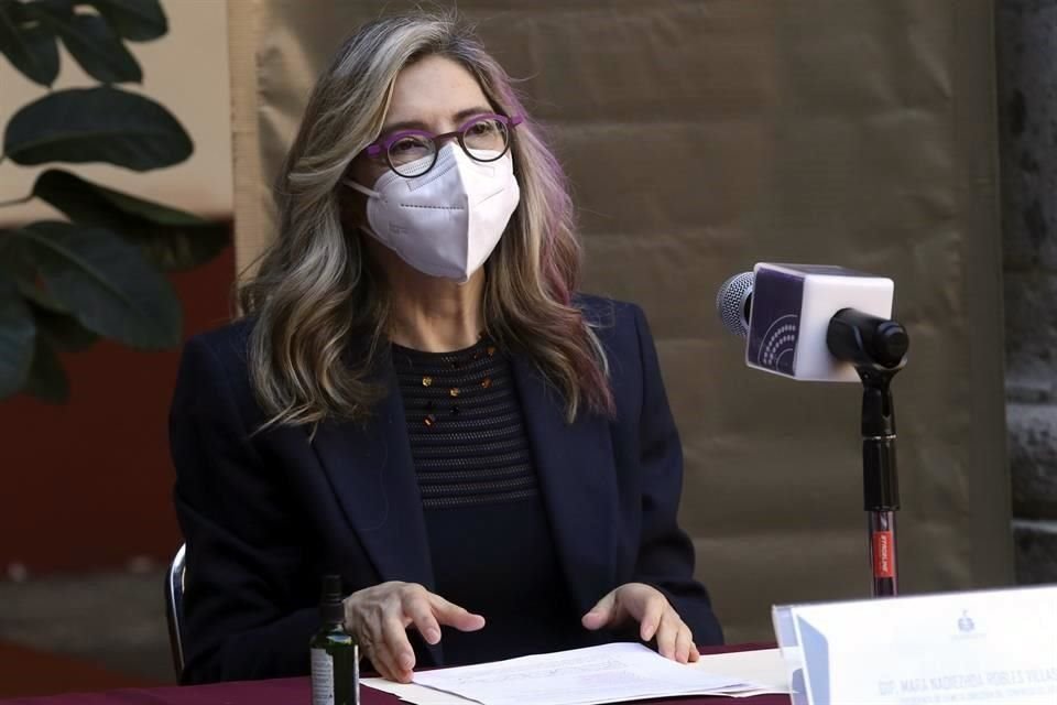 La diputada Mara Robles pidió detener el proyecto Iconia.