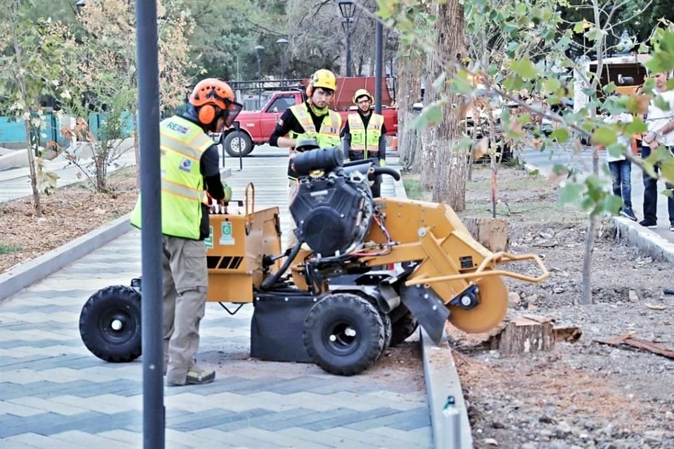 Según la Secretaría de Medio Ambiente, el museo lleva un 30 por ciento de avance y el objetivo es que esté listo a finales de septiembre.