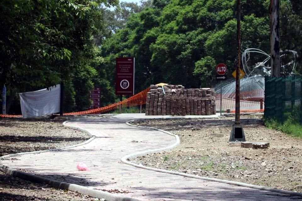 Donde antes se hallaba asfalto ahora hay espacio permeable y más espacio para árboles en la Segunda Sección de Chapultepec.