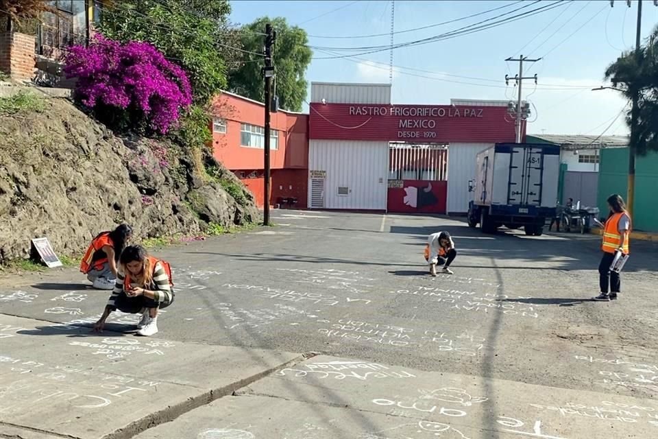 Desde la terminal de la Línea A del Metro llega el hedor de los mataderos locales, donde ya están 20 jóvenes convocados por la organización CDMX Animal Save.