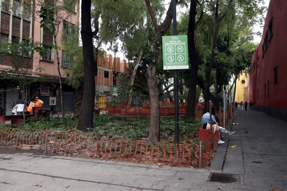 El jardín polinizador de San Jerónimo fue habilitado por la Sedema en junio pasado, para atraer a aves e insectos.