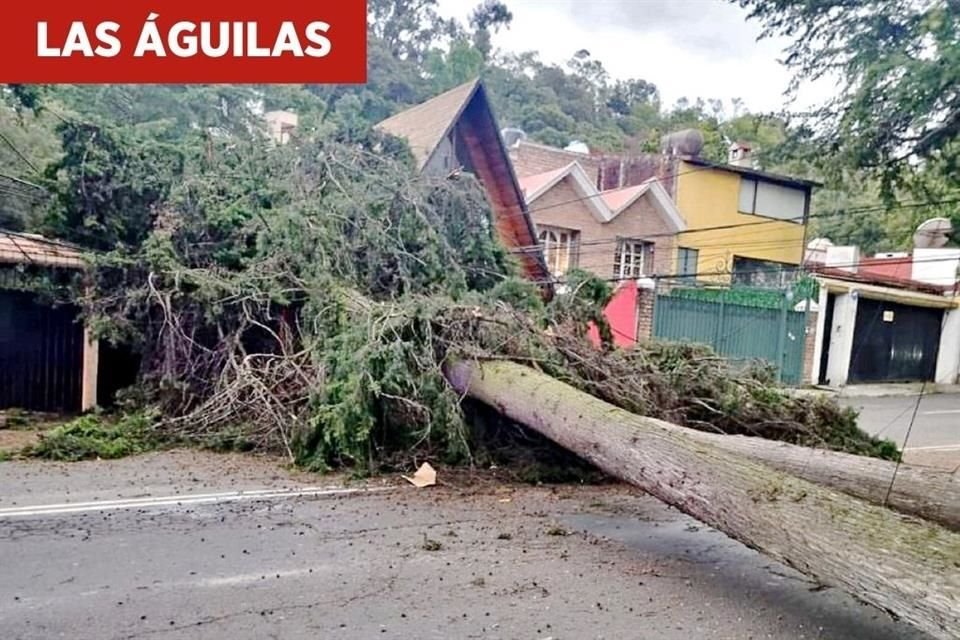 Lluvias en Las Águilas