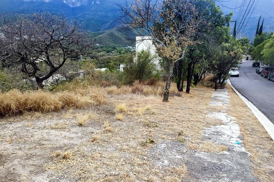 El área verde municipal destinada para parque en Colorines se encuentra entre las calles Nochebuena, Lirios y Magnolia.