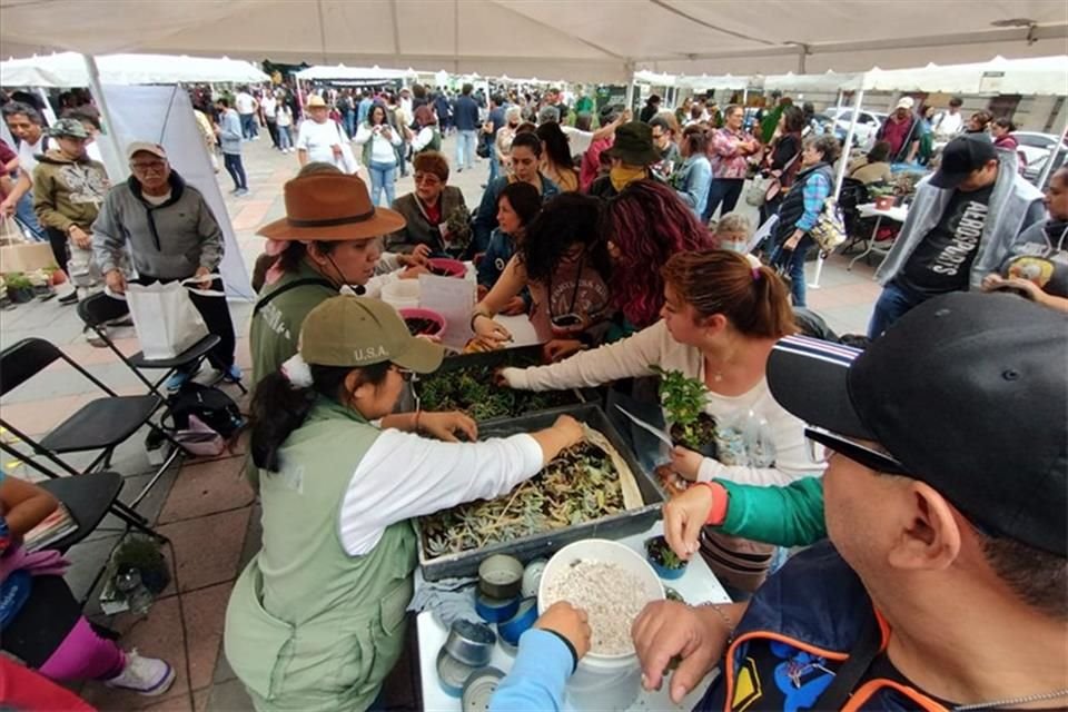 La jornada se realizó ayer en la Plaza Tolsá, en el Centro Histórico.