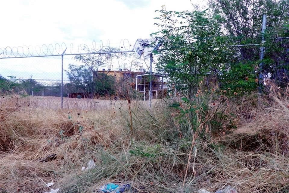 La maleza crecida es un grave problema en la Escuela Amado Nervo, de la Colonia Raúl Caballero.
