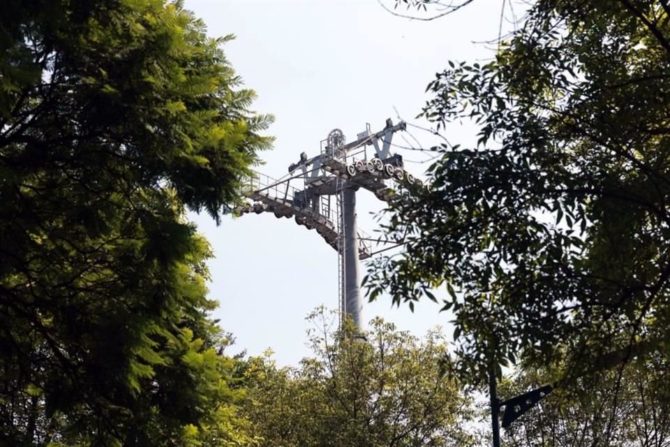 Para colocar las torres del Cablebús serán retirados al menos 33 árboles.