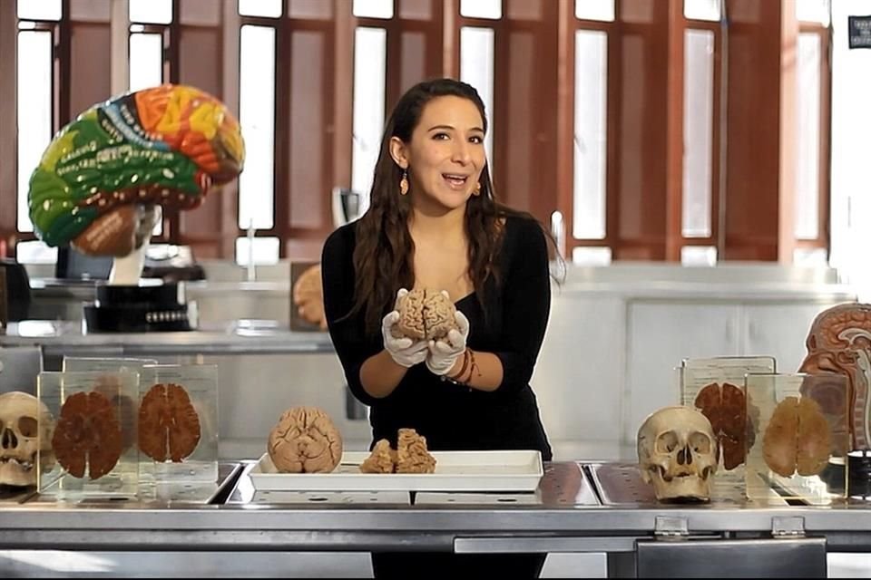 Fernanda Pérez Gay Juárez, doctora en neurociencias.